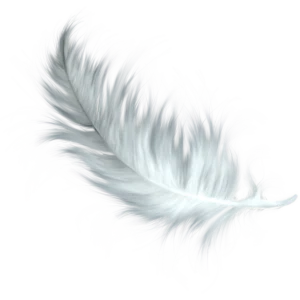 Feather Feather