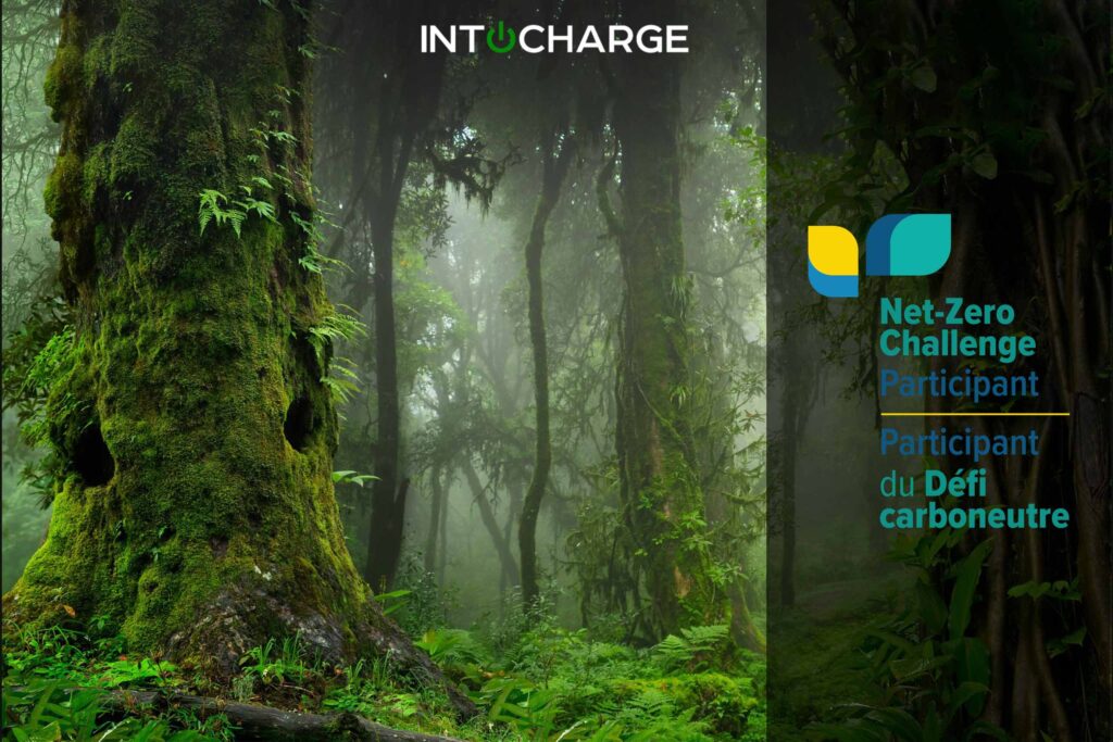 Net-Zero Challenge-Blog